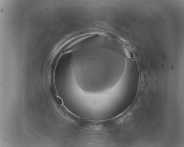 X0000084020247200703022104