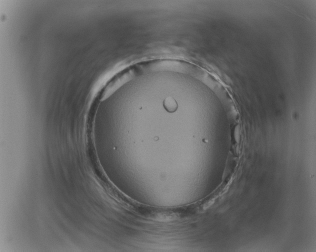 X0000084020248200703022104