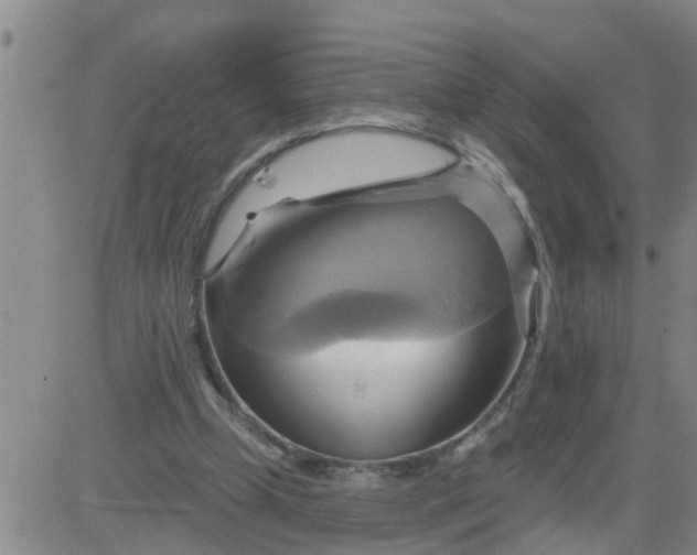 X0000084020249200703022104