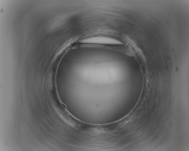 X0000084020250200703022104