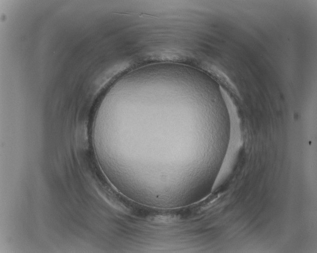 X0000084020251200703022104