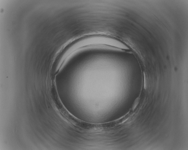 X0000084020252200703022104