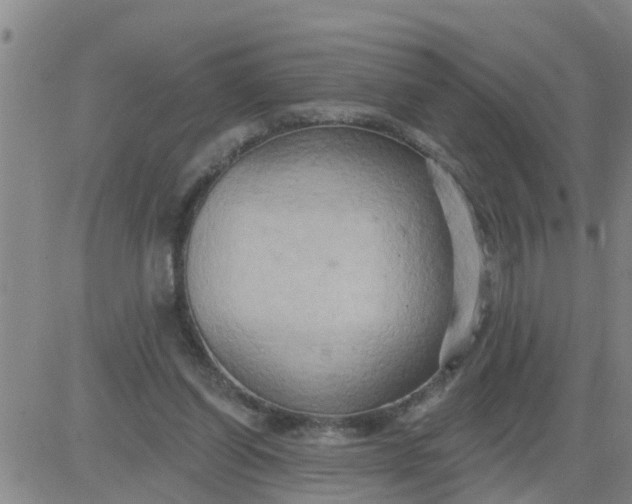 X0000084020254200703022104