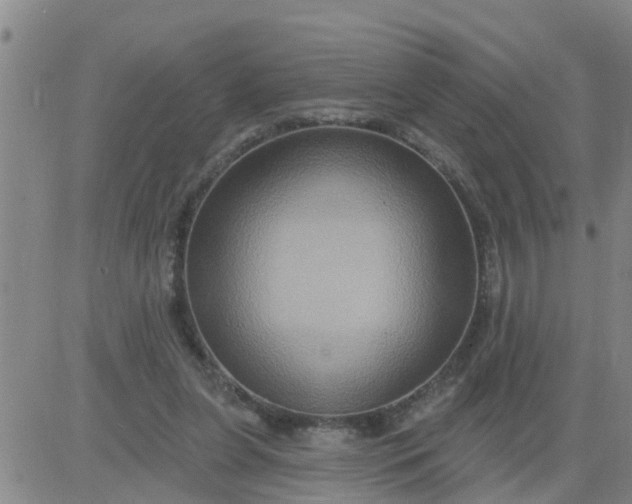 X0000084020255200703022104