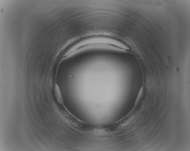 X0000084020256200703022104