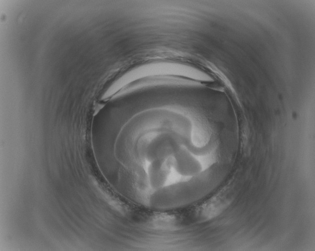 X0000084020257200703022104