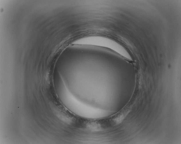 X0000084020258200703022104