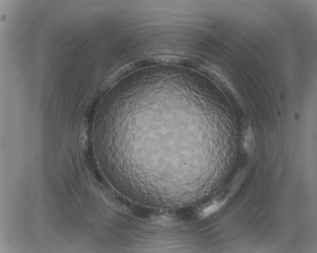 X0000084020259200703022104