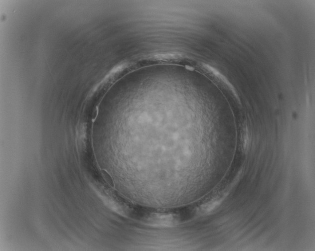 X0000084020260200703022104