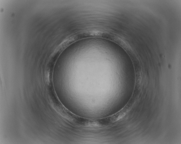 X0000084020262200703022104