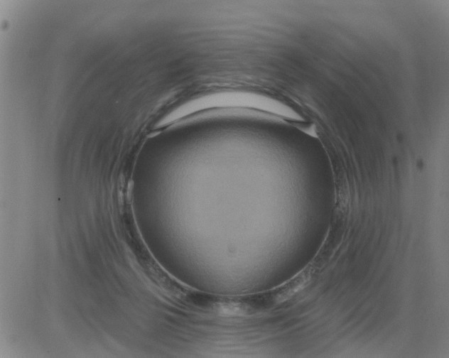 X0000084020264200703022104