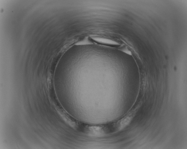 X0000084020265200703022104