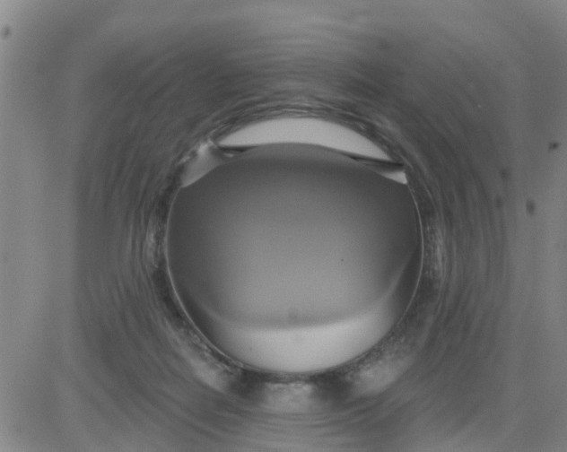 X0000084020266200703022104