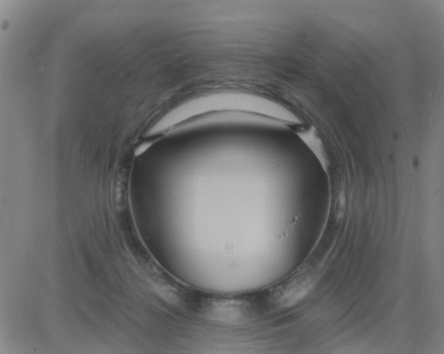 X0000084020268200703022104