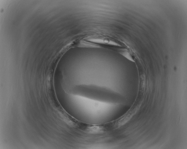 X0000084020269200703022104