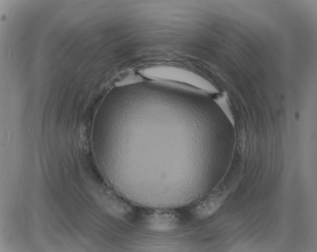 X0000084020270200703022104