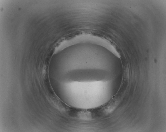 X0000084020271200703022104