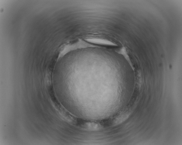 X0000084020272200703022104