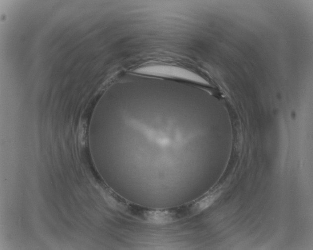 X0000084020273200703022104