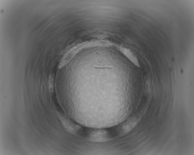 X0000084020274200703022104