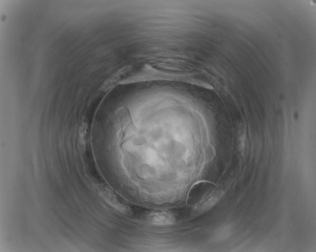 X0000084020275200703022104