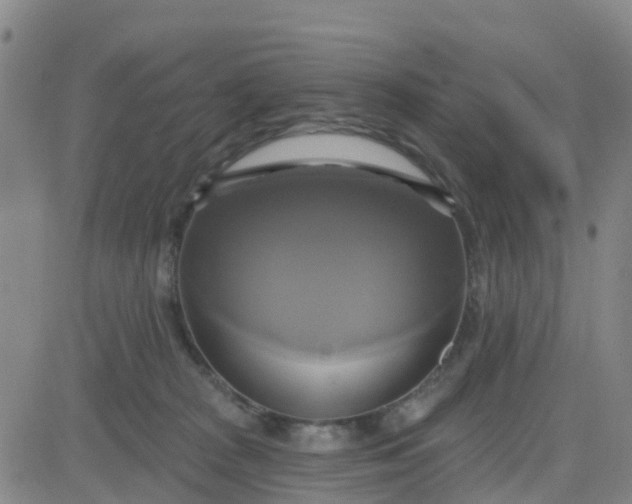 X0000084020277200703022105