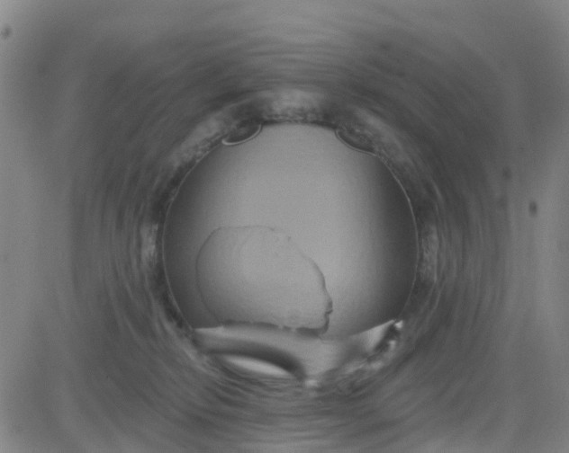 X0000084020278200703022105