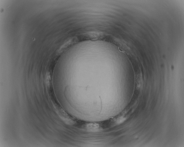 X0000084020279200703022105