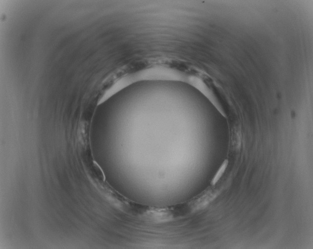 X0000084020280200703022105