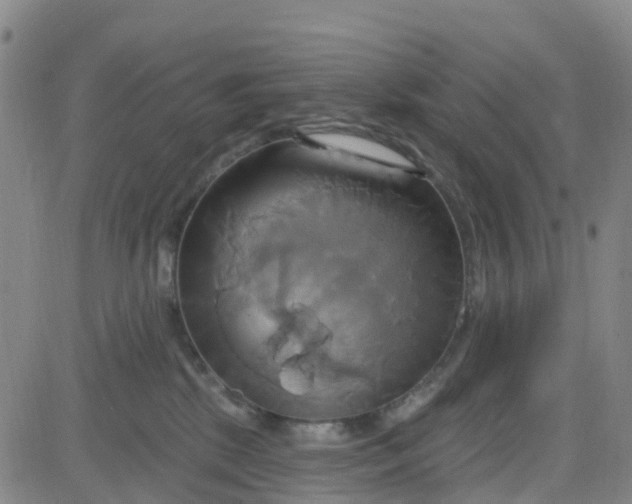 X0000084020281200703022105