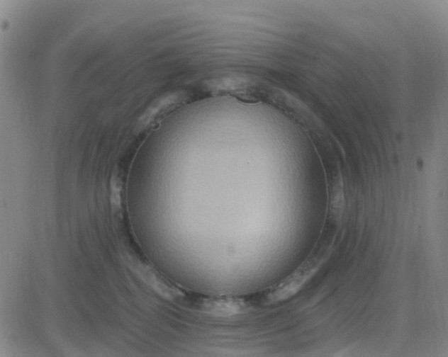 X0000084020282200703022105