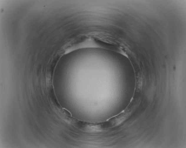 X0000084020283200703022105