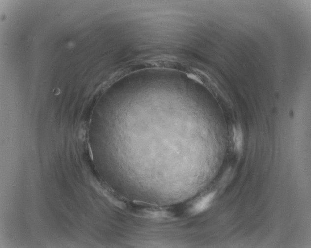 X0000084020284200703022105