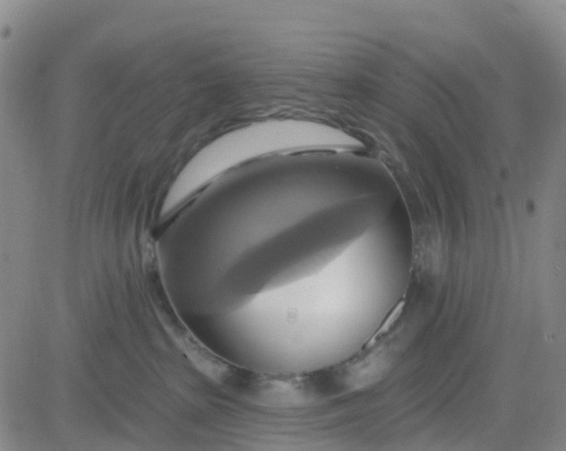 X0000084020285200703022105