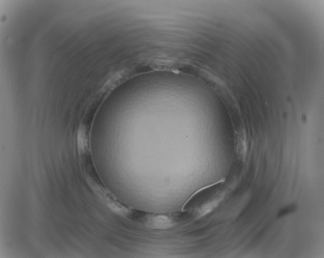 X0000084020287200703022105