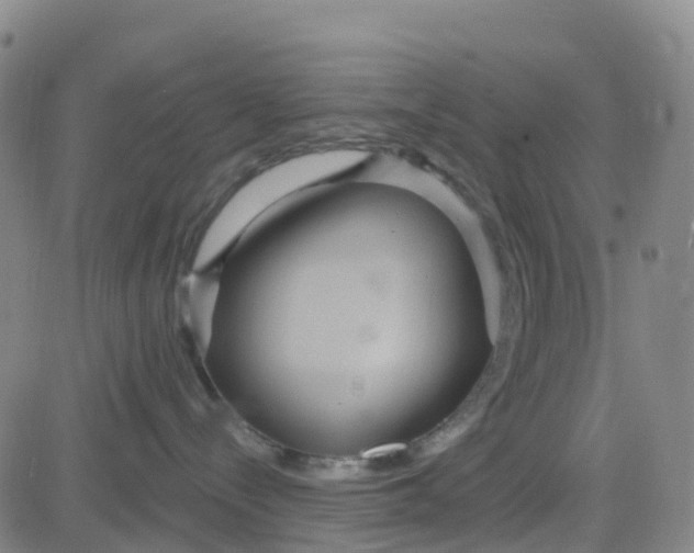 X0000084020288200703022105