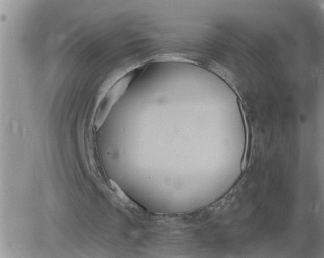 X0000084020289200703022104