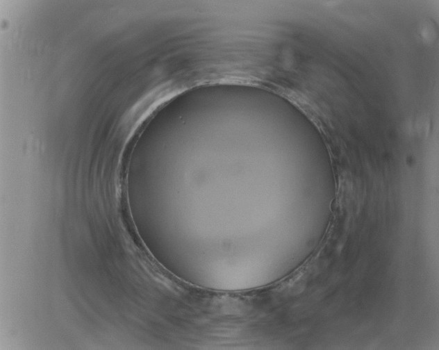 X0000084020290200703022104