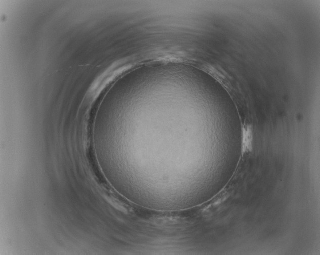 X0000084020291200703022104