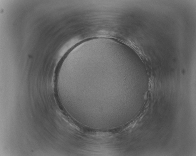 X0000084020292200703022104