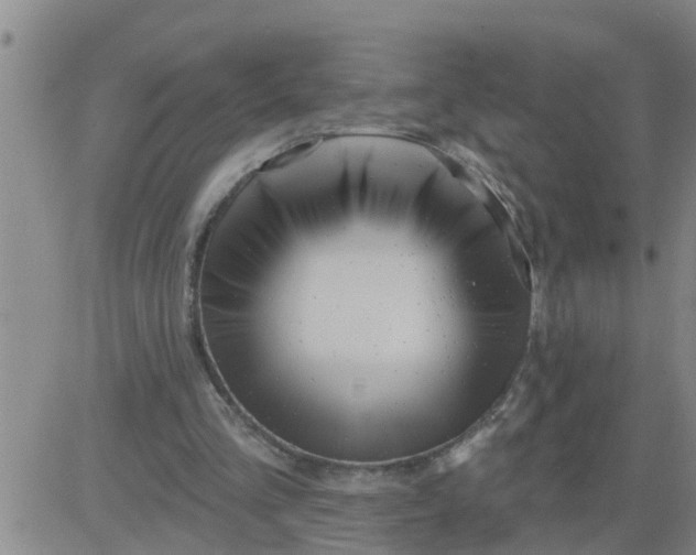 X0000084020293200703022104