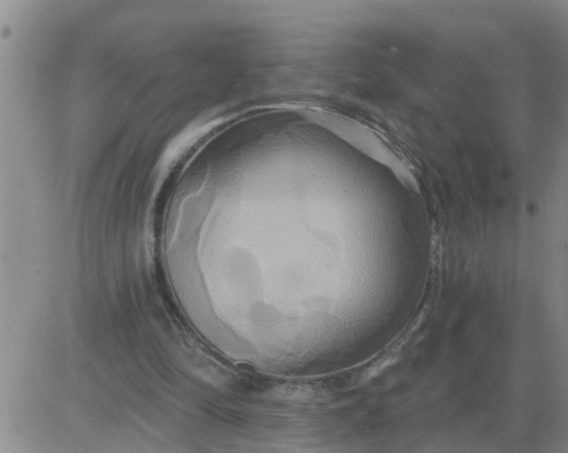 X0000084020294200703022104