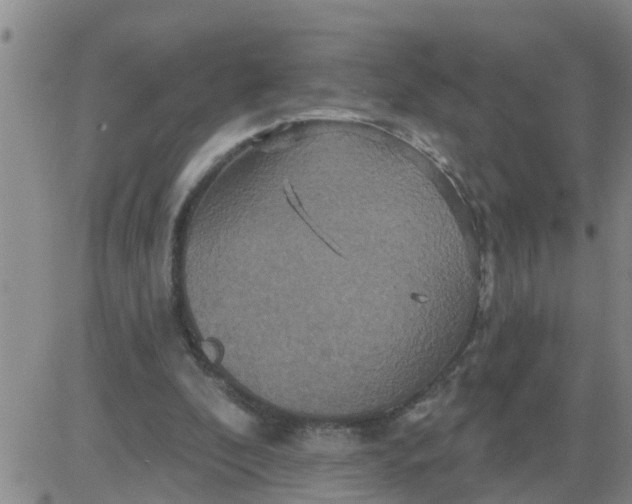 X0000084020296200703022104