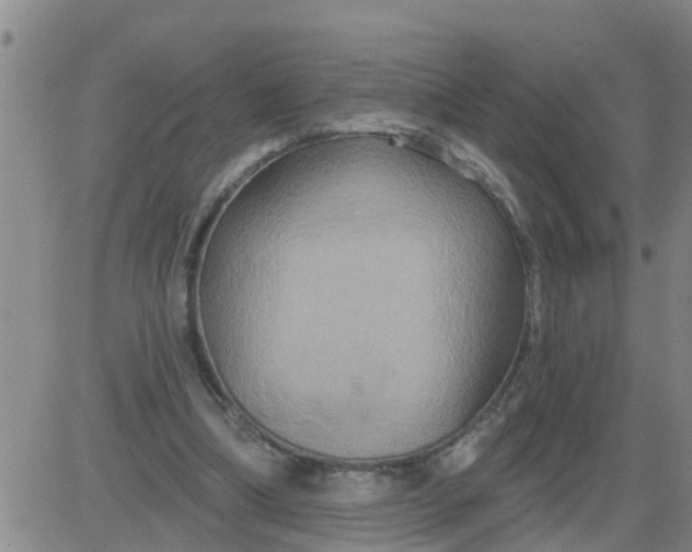 X0000084020298200703022104