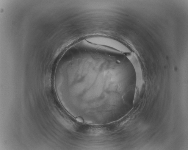 X0000084020299200703022104