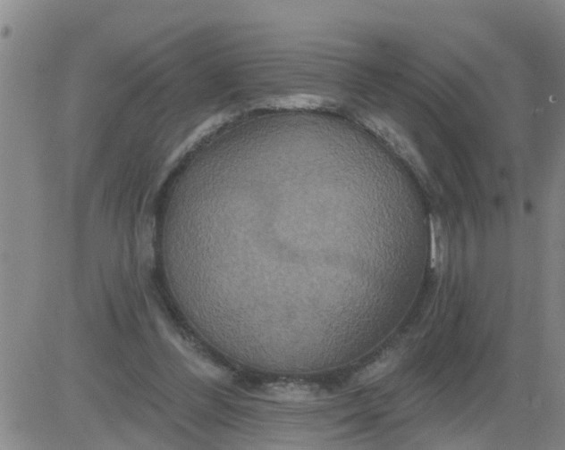 X0000084020300200703022104