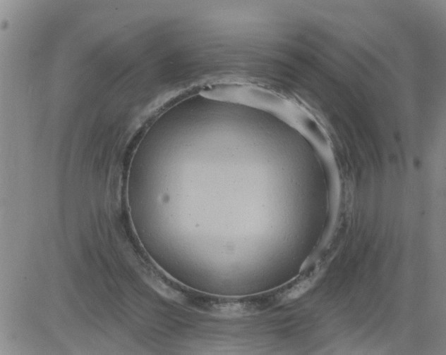 X0000084020301200703022104