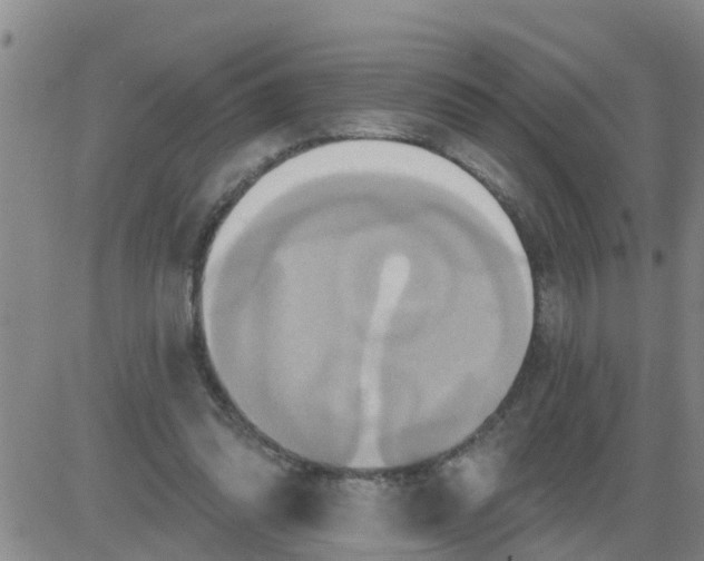 X0000084020302200703022104