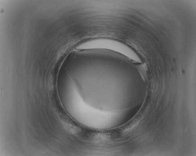 X0000084020303200703022104