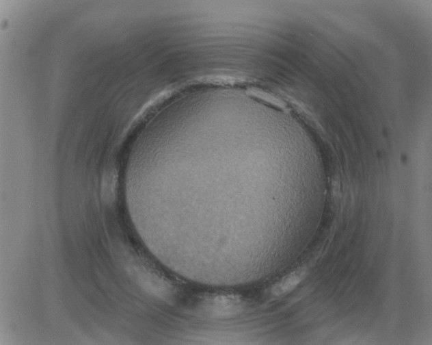 X0000084020304200703022104